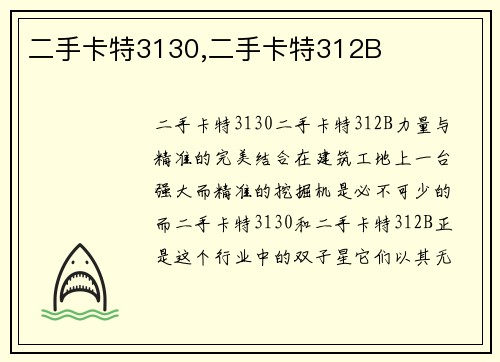 二手卡特3130,二手卡特312B