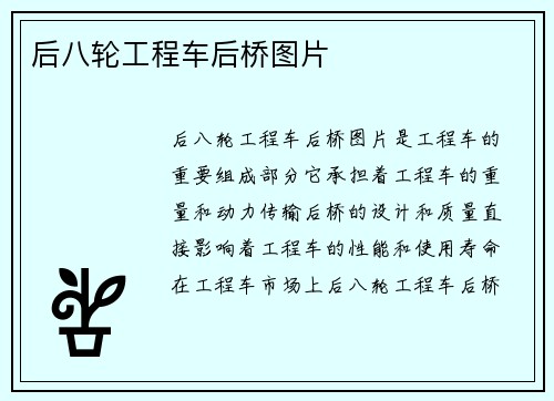 后八轮工程车后桥图片